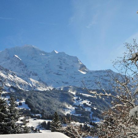 Apartment Central By Interhome Wengen Kültér fotó