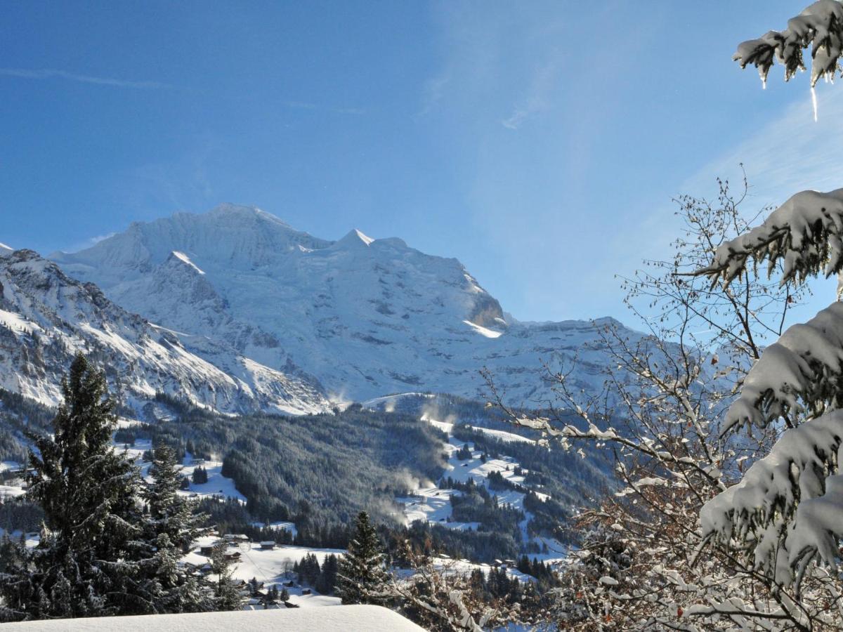 Apartment Central By Interhome Wengen Kültér fotó